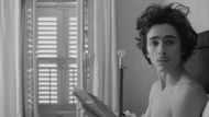 The French Dispatch (Image via Prime Video)